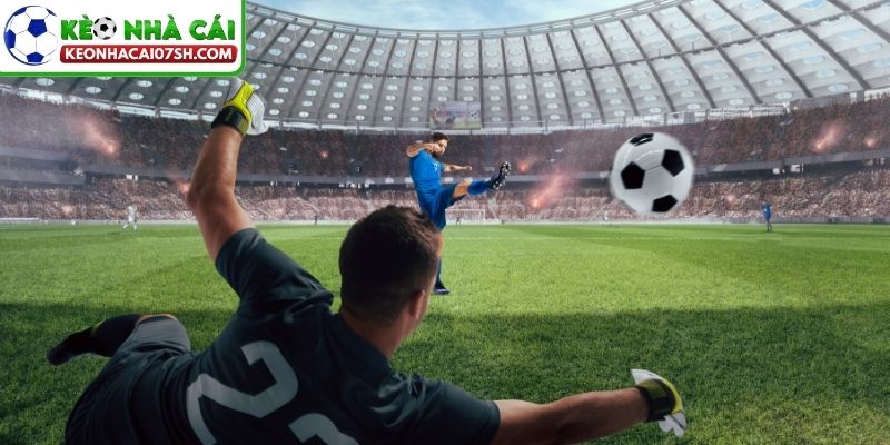 Theo dõi diễn biến để biết được dấu hiệu kích hoạt