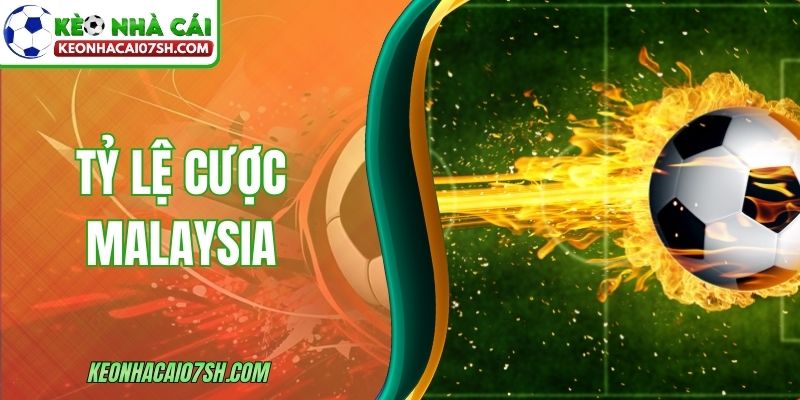 Tỷ Lệ Cược Malaysia - Cách Hiểu Và Tính Lời Dễ Dàng